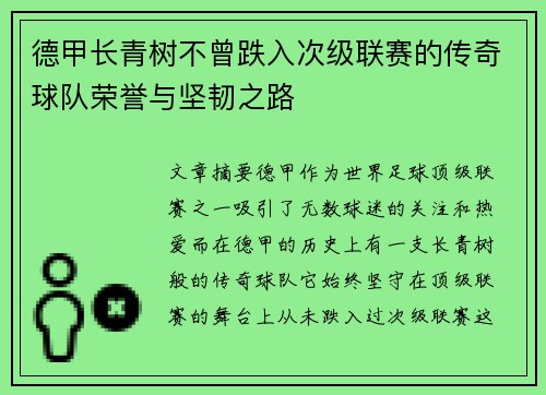 德甲长青树不曾跌入次级联赛的传奇球队荣誉与坚韧之路